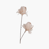 Pink Feather Flower Stem