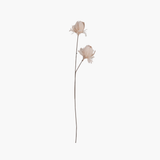 Pink Feather Flower Stem