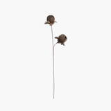 Taupe Feather Flower Stem