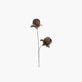 Taupe Feather Flower Stem