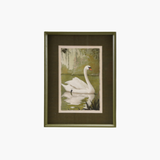 Green Swan Wall Decor