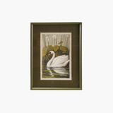Green Swan Wall Decor