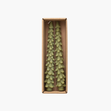 10" Light Green Xmas Tree Shaped Taper