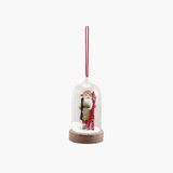 LED Glass Cloche Ornament with Santa w/ Skis
