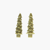 Light Green Tree Taper