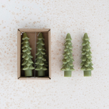 Light Green Tree Taper
