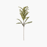 Green Seed Berry Stem