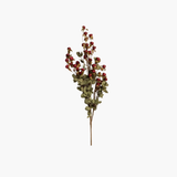 Burgundy Pod Bush