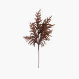 Rust Norfolk Pine Stem
