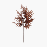 36" Rust Norfolk Pine Stem