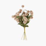 Tan PomPom Bundle