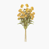 Yellow Pom Poms