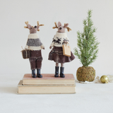 Deer in Winter Clothes