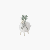 White Wool Deer