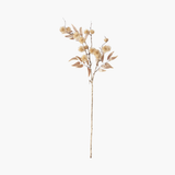 Gold Thistle Stem