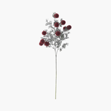 Burgundy Thistle