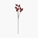 Burgundy Pomegranate Stem