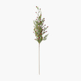 Red Berry Prickly Heath & Pine Stem