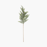 Cypress Pine Stem w/Mini Pinecones