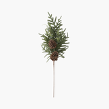 Juniper + Pinecone Stem