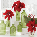 Red Poinsettia Stem