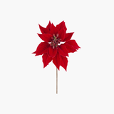 Red Poinsettia Stem