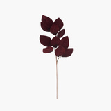 Burgundy Velvet Magnolia Leaf