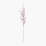 Red Berry Stem