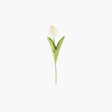 White Tulip Single