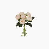 Peach Peony Bundle