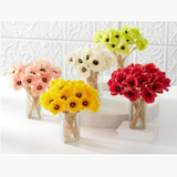 White Poppy Stem