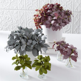 Basil Bundle