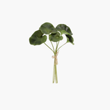 Lotus Bundle Stem (5)