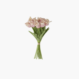 Peach+Cream Parrot Tulips Real Touch