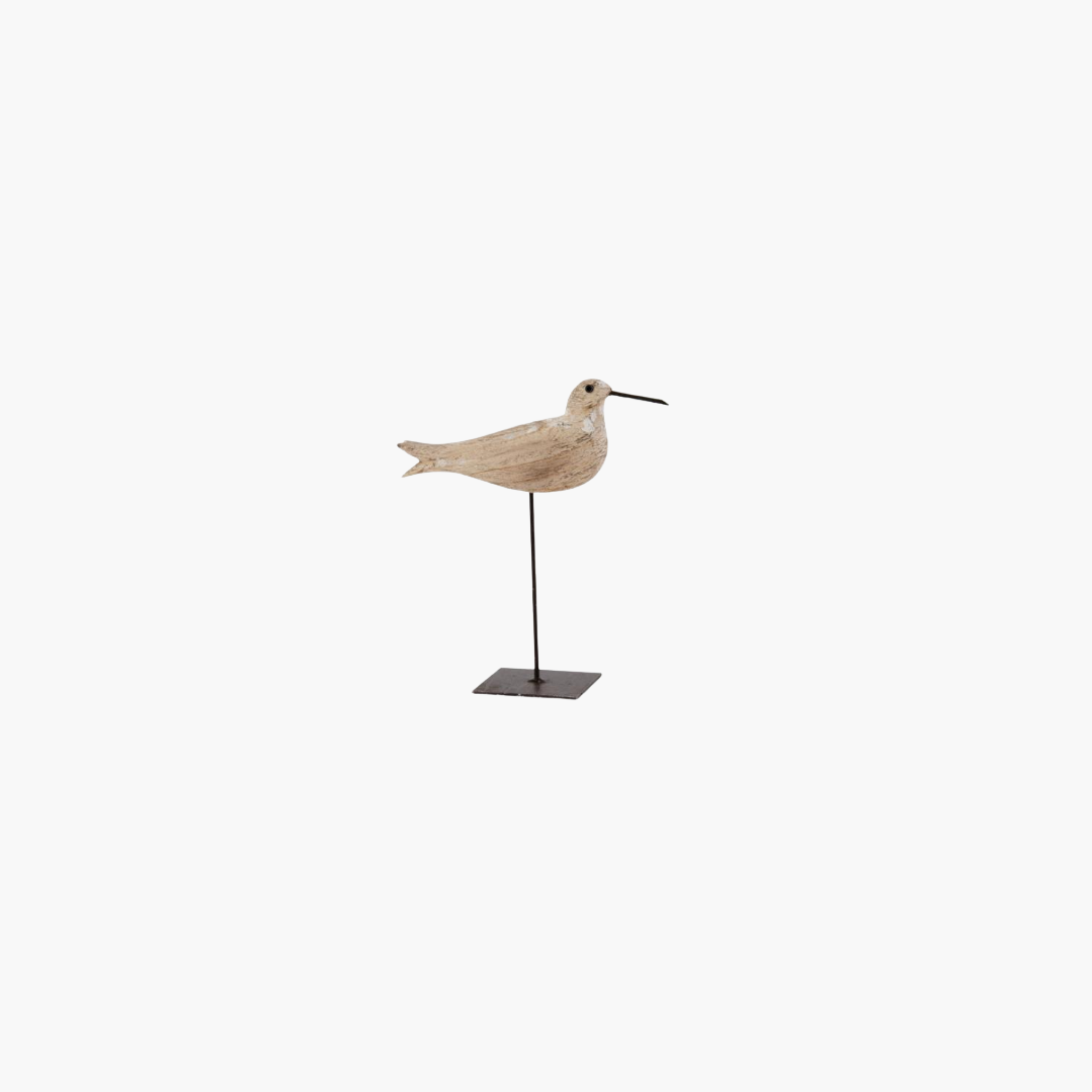 Whitewashed Segulls