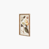 Botanical Citrus Wall Art