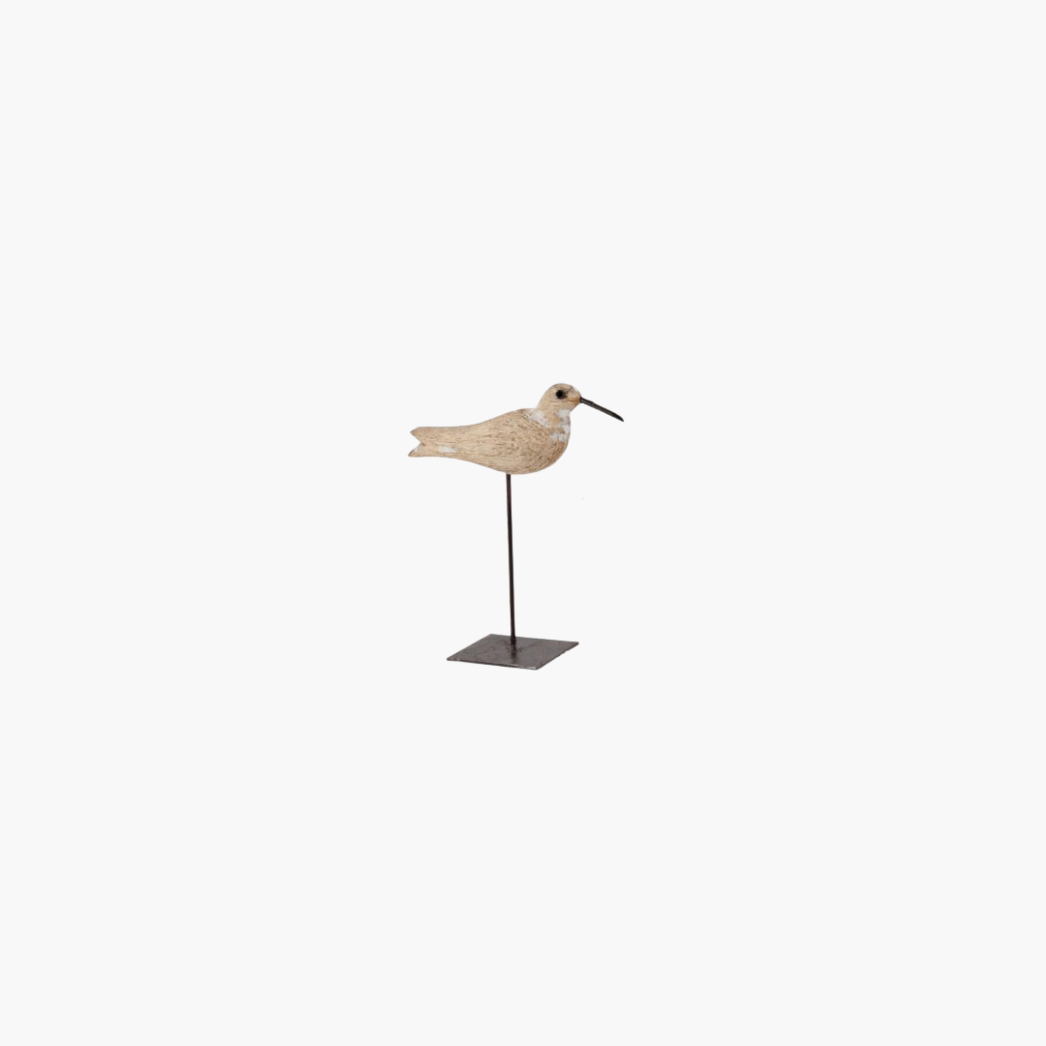 Whitewashed Segulls