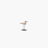 Whitewashed Segulls