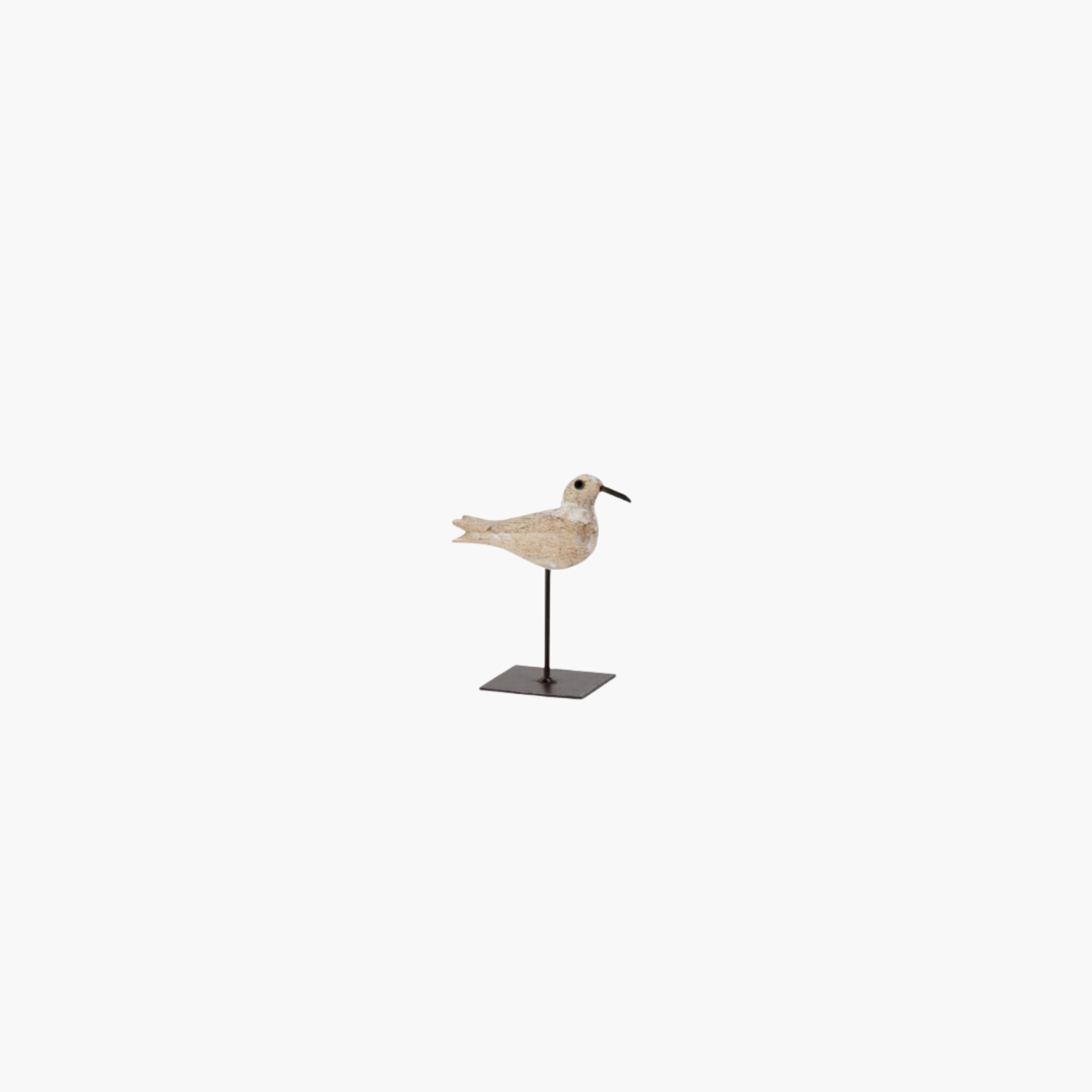 Whitewashed Segulls