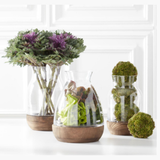 Sedum Ball - Lt Green