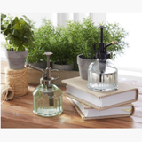 Faux Asparagus Fern