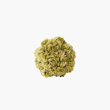 Sedum Ball - Lt Green