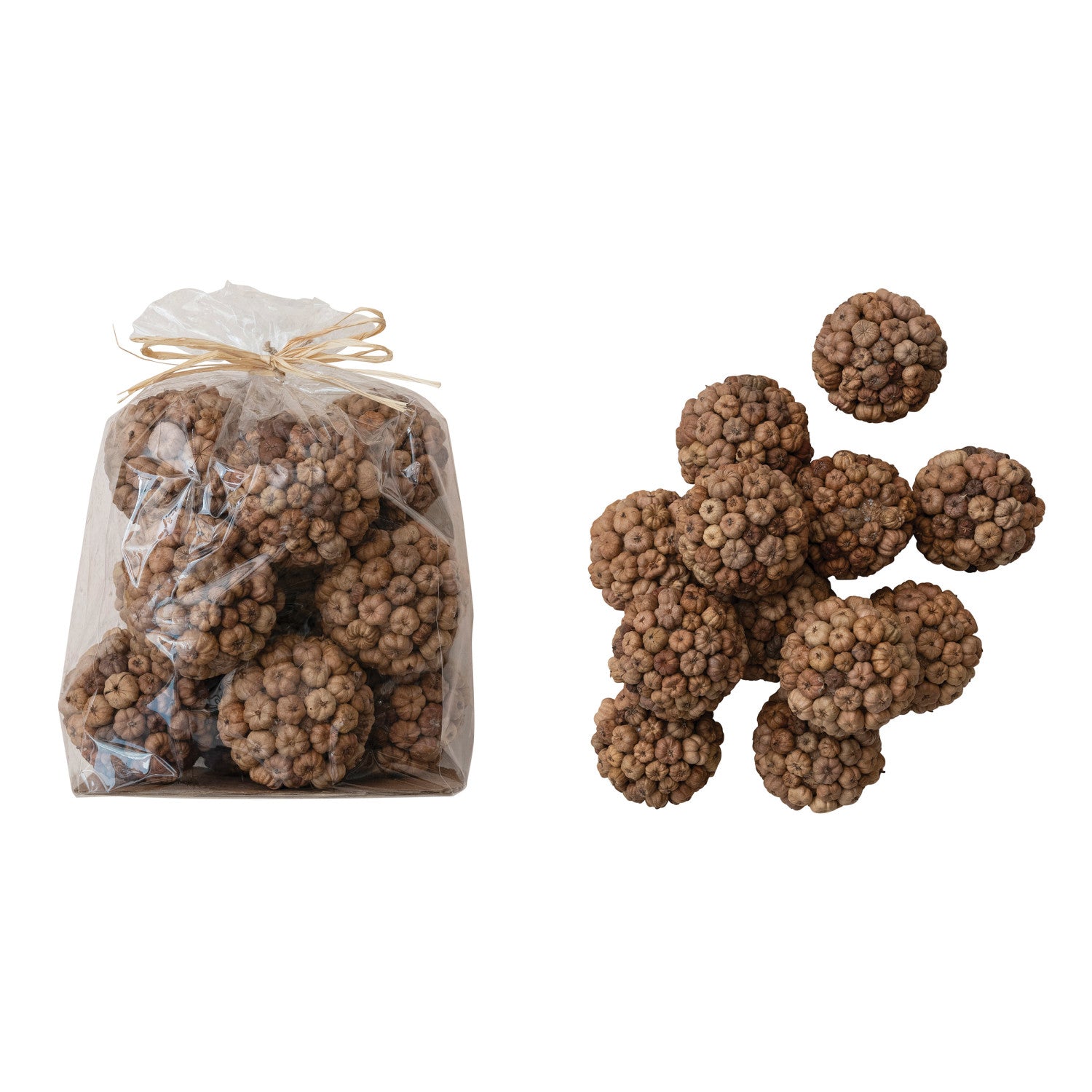 Round Dried Natural Peepal Pod Orbs in Bag (Contains 12 Pieces) (Each One Will Vary)