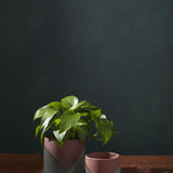 Planter Red Grey